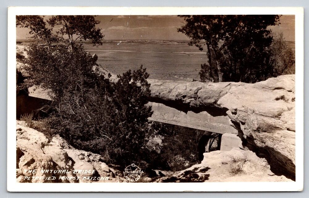 Vintage 1930s RPPC Postcard Petrified Forest Arizona Natural Bridge Frashers AZ